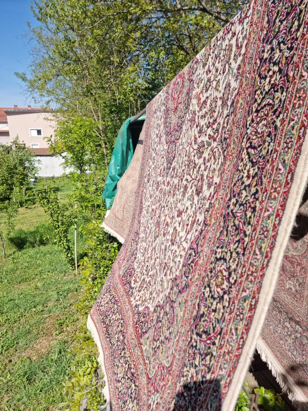 Pranje tepiha – primer 7